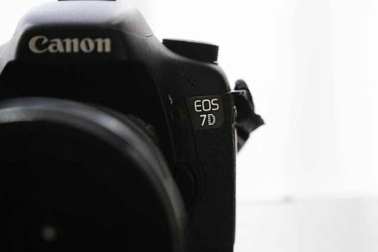 Canon機ユーザー必見！キヤノンカメラのシャッター回数を知る方法 [Windows編] | FOTOCOOK